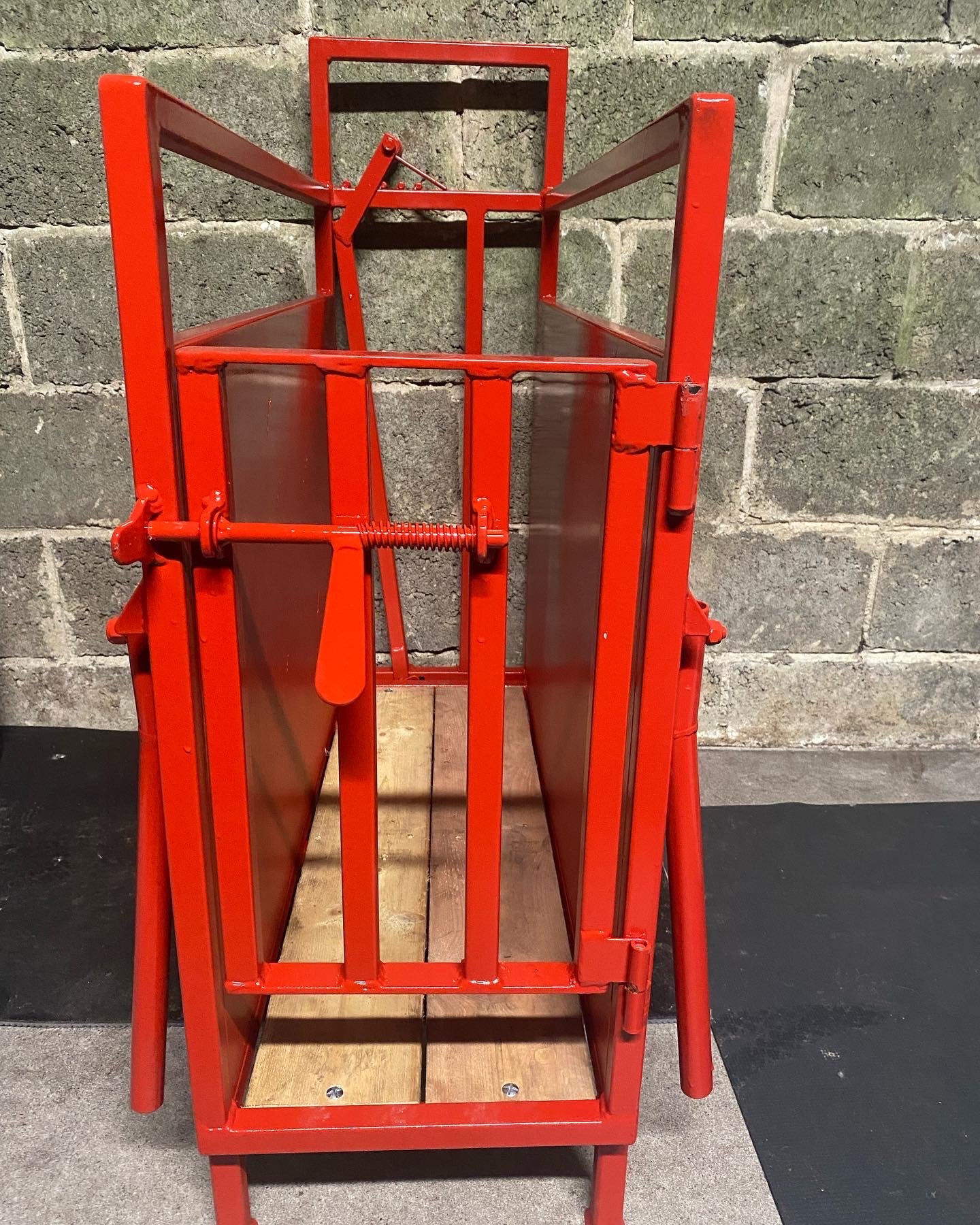 The Calf Compartment