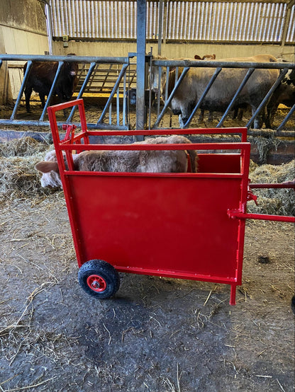 The Calf Compartment