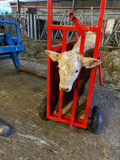 The Calf Compartment